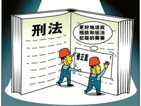 罪刑法定原则在我国刑法中的体现_百度知道