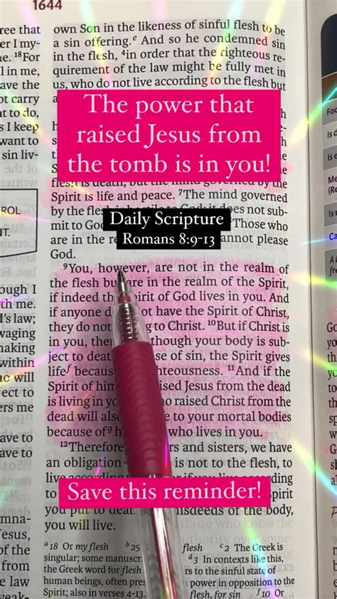 Image result for Daily Scripture