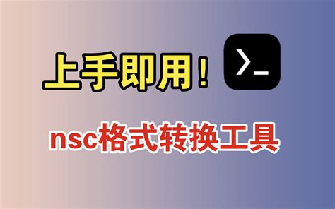 NSP Tool 的图像结果