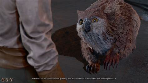 Baldur's Gate 3: How to Recruit the Owlbear Cub - Deltia's Gaming