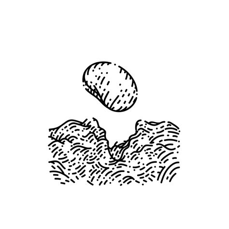 Image result for Seed Draw Script