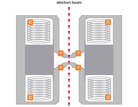 Electron Microscope Drawing 的图像结果