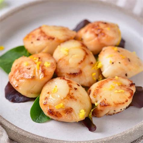 What are Scallops - Recipes and Info - Wow Easy Recipes