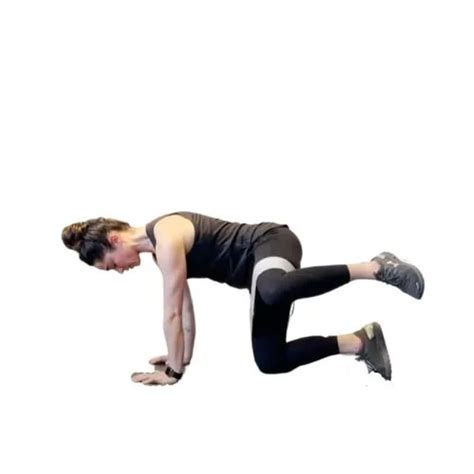 Image result for Fire Hydrant Exercise Proper Form