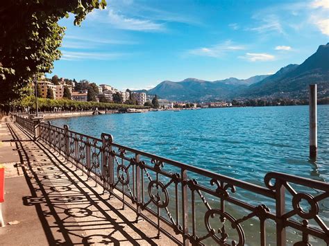 BUTTERFLY INSTITUTE FINE ART (2026) All You Need to Know BEFORE You Go ...