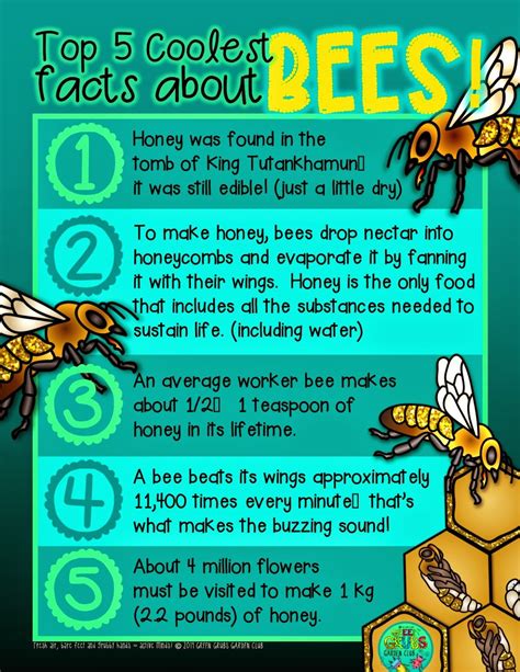 7 Fun Facts About Bees