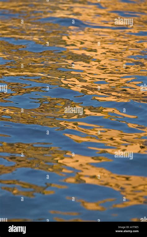 Image result for Water Reflection Spring