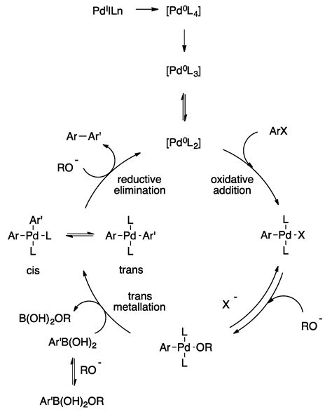 senzor Zkušený člověk nic suzuki cross coupling reaction mechanism Hrom Smrt čelist Statečný