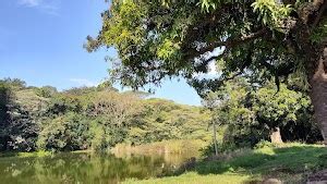 Top 15 things to do in Hortolândia (Updated Sep 2024)