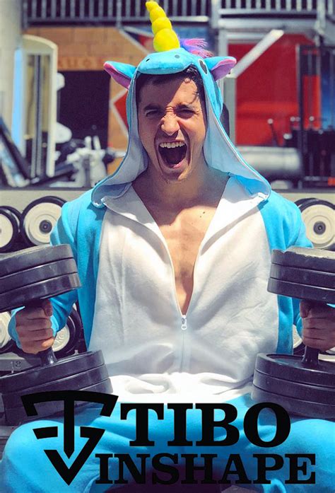 Image result for Tibo Inshape Workout