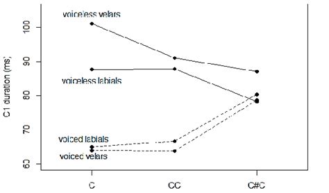 Image result for Complex Onsets Feature Geometry