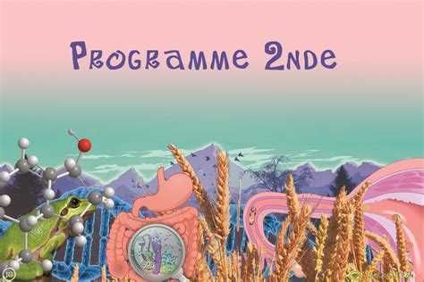 Programme SVT Seconde 的图像结果