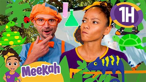 Blippi Science Experiments 的图像结果