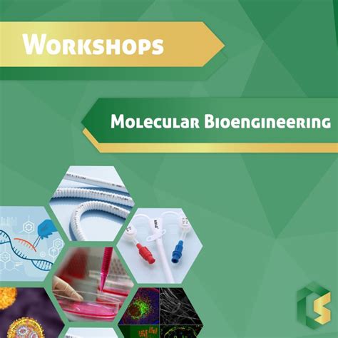 Image result for Molecular Bioengineering