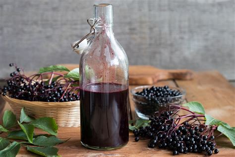 BETONICA — Betonica - elderberry syrup recipe