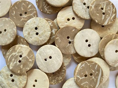 Image result for co-Count Shell Buttons