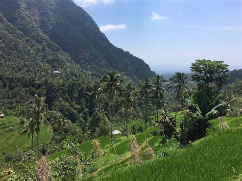 UBUD AGUNG TOUR - All You Need to Know BEFORE You Go 2026 (with Photos ...
