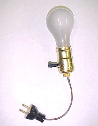 Electricity_new | Make a lamp, Lamp socket, Hope college