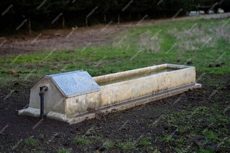 Premium Photo | Livestock water trough in a field on a cattle farm in ...
