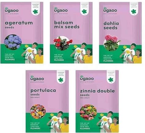 Flower Seeds Online in India | Flipkart | 17-Jan-26