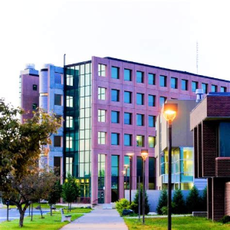 Bachelor of Science Honours Computer Science 的图像结果