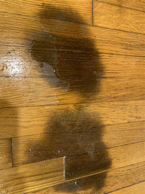 How to get rid of dog urine stain on wood floor : r/howto