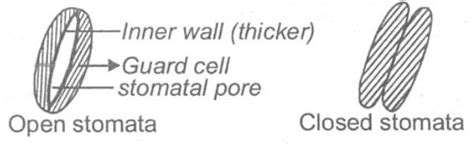 SATHEE: knowledge-route-Class10-Bio1-2 Merged
