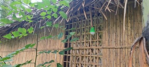 TANNA CHEZ NOUS BUNGALOW & TOURS (White Sands) - Hotel Reviews & Photos ...