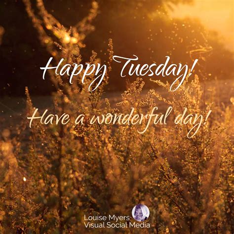 Happy Tuesday Morning Greetings Happy Tuesday Good Morning Images With