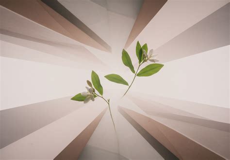 What Is the Difference in Composition between Serous and Mucous Saliva? → Learn