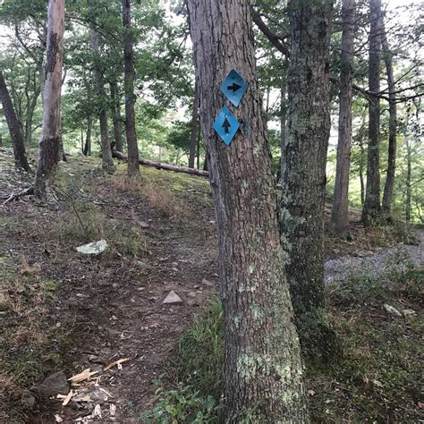 Big Bend Campground | Cabins, West Virginia