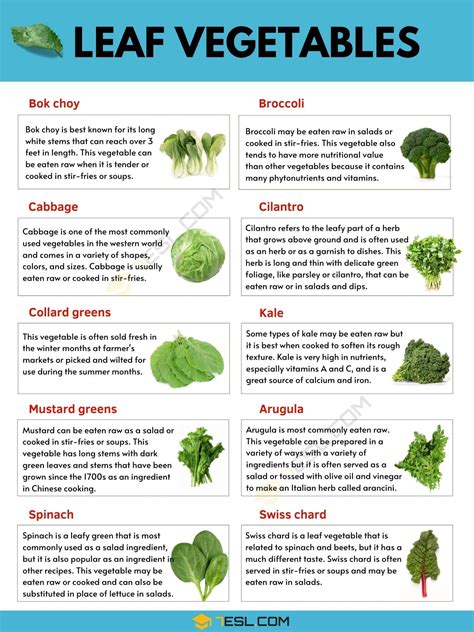 Leaf Vegetable: Examples of Leaf Vegetables with Pictures and Facts u2022 7ESL | Leaf vegetable ...