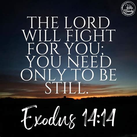 Understanding Exodus 14:14 – Trusting God to Fight Our Battles - Katie ...