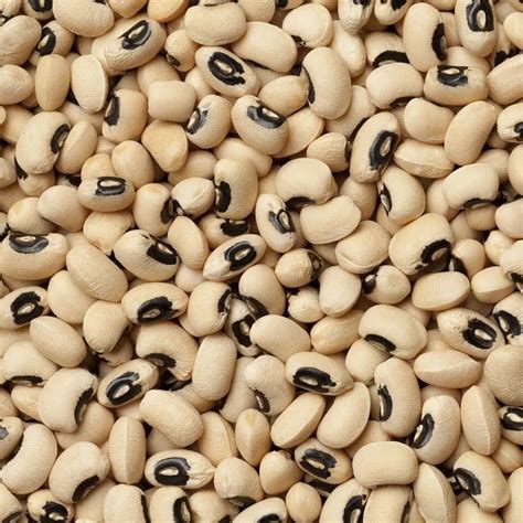 Black Eyed Peas Butterbean Seeds, Cowpeas, California Blackeye Seeds ...