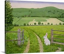 Image result for Framed Bunny Wall Art