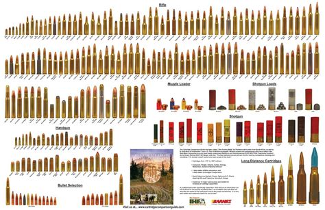 Rimfire Caliber Chart at Will Bracy blog