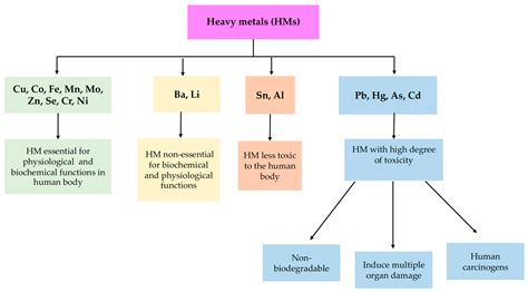 Characterization of the Toxicological Impact of Heavy Metals on Human Health in Conjunction with ...