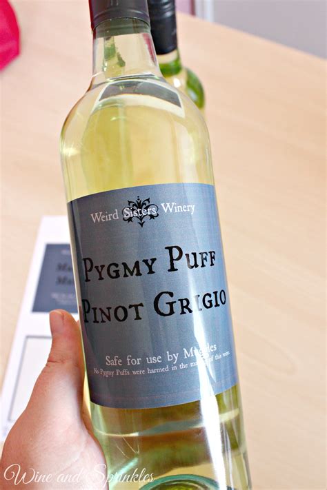 Harry Potter Wine Labels — Wine & Sprinkles