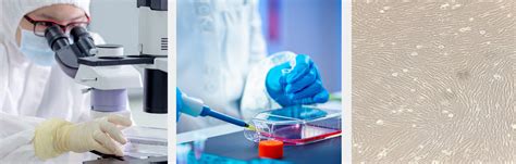 Image result for Human Testing Lab