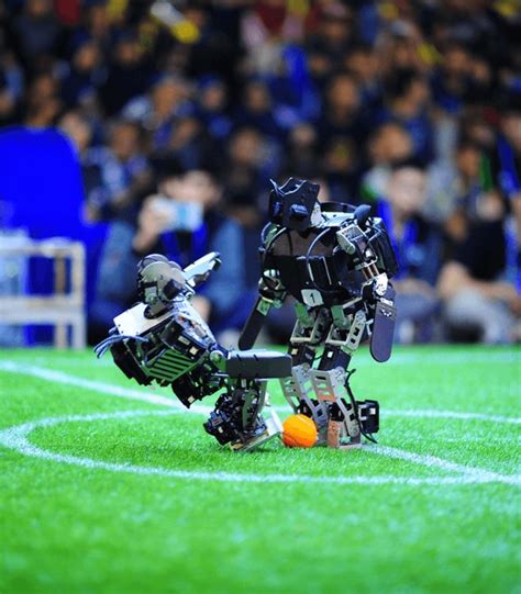 DRC Robots 的图像结果