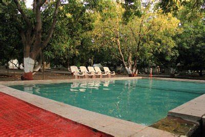 𝗧𝗛𝗘 𝟭𝟬 𝗕𝗘𝗦𝗧 Hotels in Gir National Park of 2026 (with Prices)