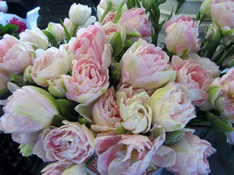 Moments of Delight...Anne Reeves: Seattle: Pike Place Market Flowers ...