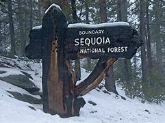 sequoia 500m 600m 900m950m ecosystem expansion