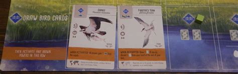 How to Play Wingspan Board Game (Rules and Instructions) - Geeky Hobbies
