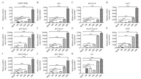 Discovery and Genetic Characterization of Novel Paramyxoviruses Related ...
