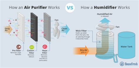 Air Purifiers Vs. Humidifiers: What's The Difference?