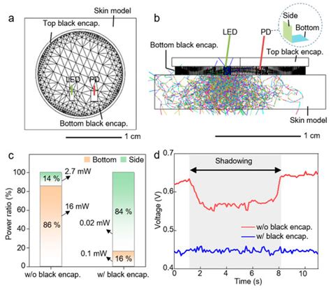 Sensors | Special Issue : Wearable Sensors for Biomedical ...