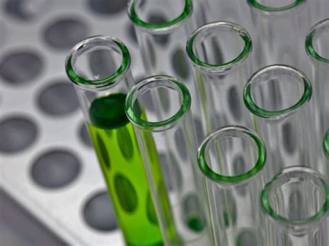 How Made Its Science 的图像结果