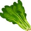 Image result for What Leafy Greens Can Rabbits Eat
