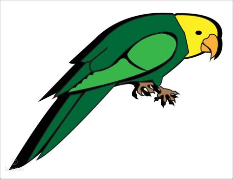 Image result for Simple Parrot Cartoon Drawing